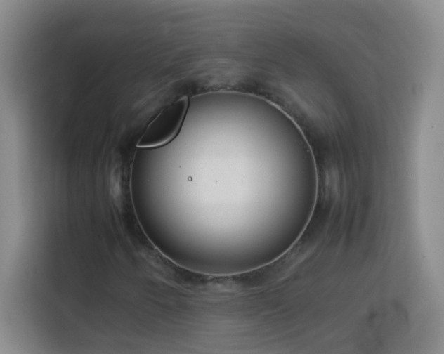 X0000113751250200909301025