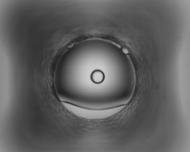 X0000113751253200909301024