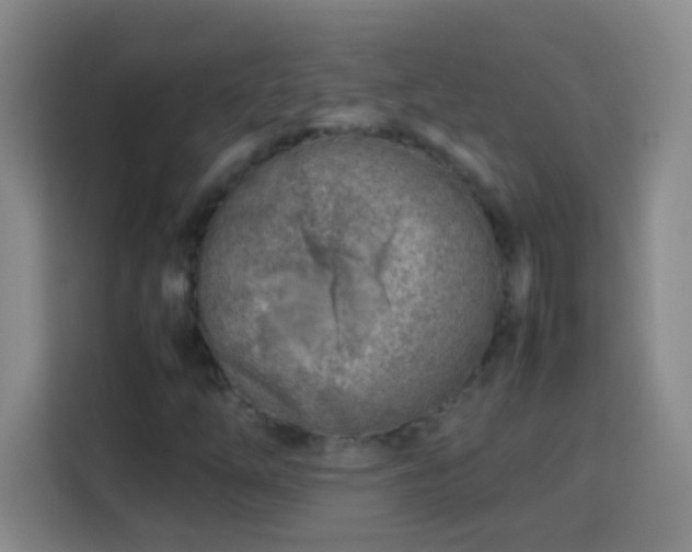 X0000113751254200909301024