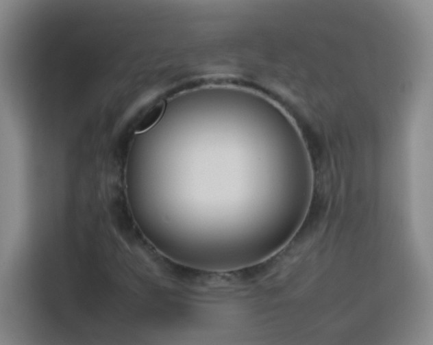 X0000113751255200909301024