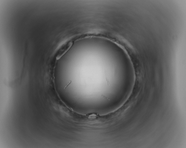 X0000113751256200909301024