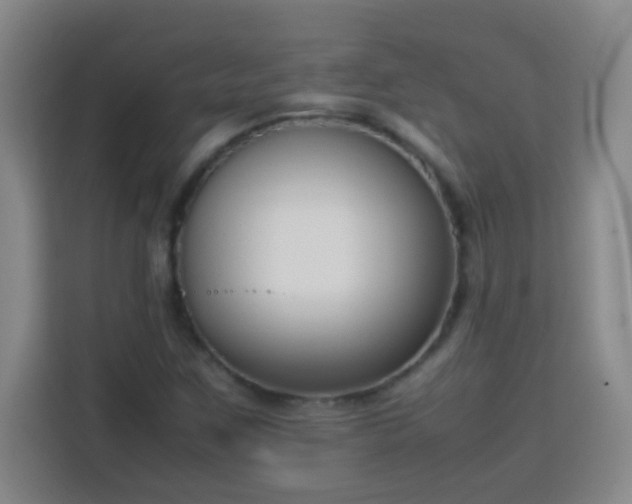X0000113751259200909301024