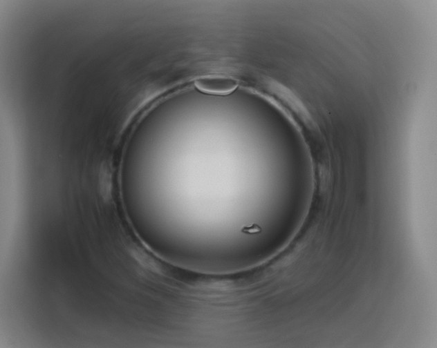 X0000113751260200909301024