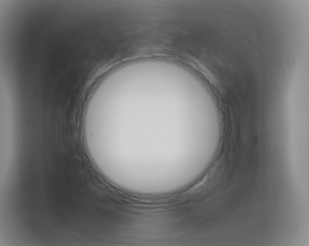 X0000113751261200909301024