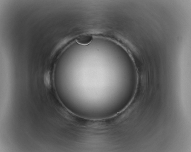 X0000113751262200909301024
