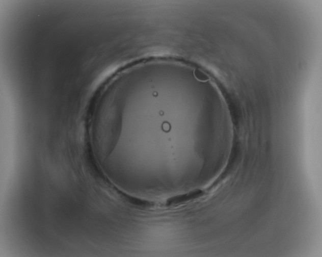 X0000113751263200909301024