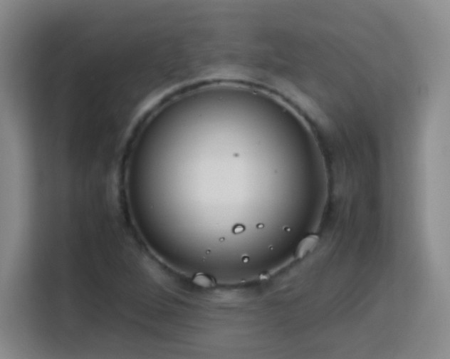 X0000113751264200909301024