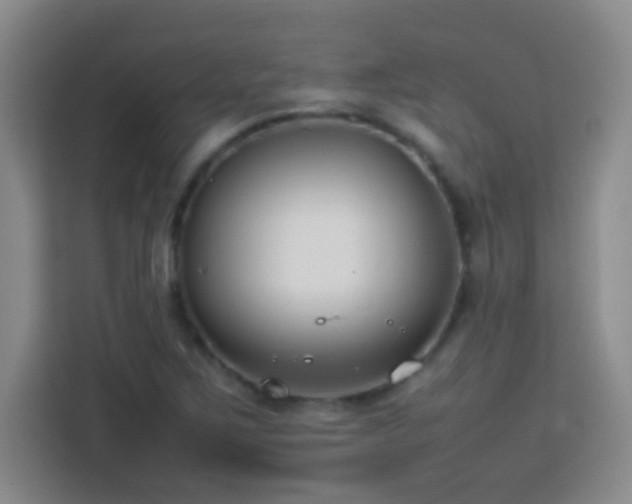 X0000113751267200909301024
