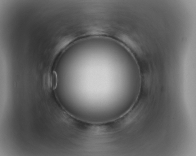 X0000113751269200909301024