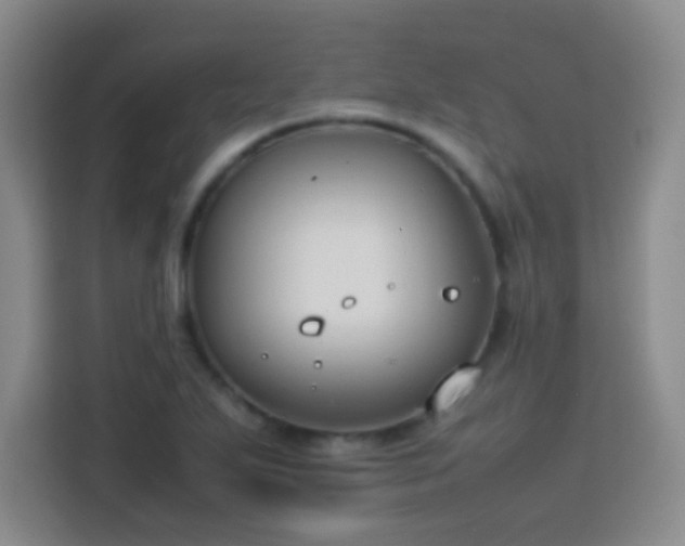 X0000113751271200909301024
