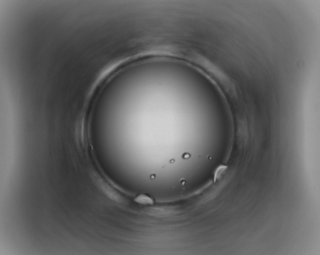 X0000113751272200909301024