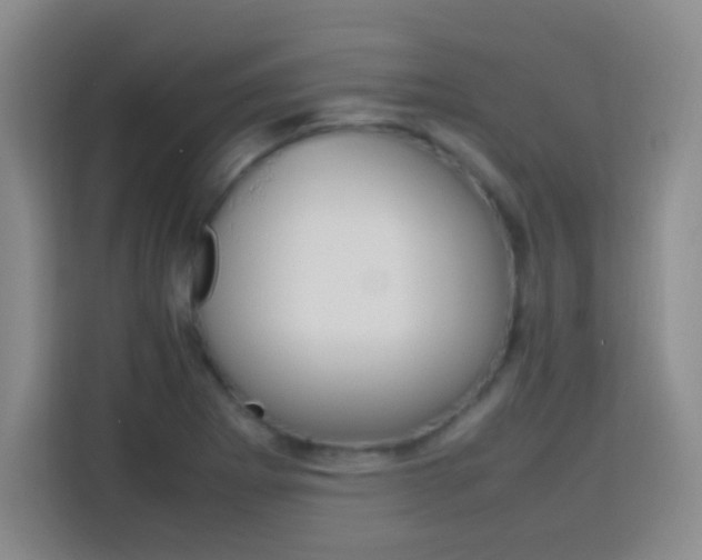 X0000113751273200909301024