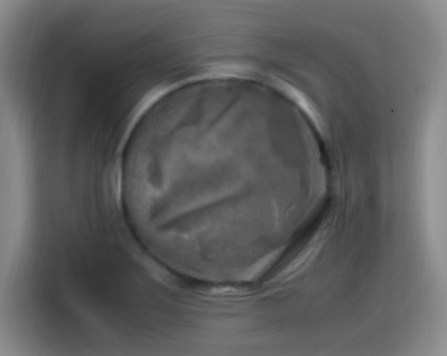X0000113751275200909301024