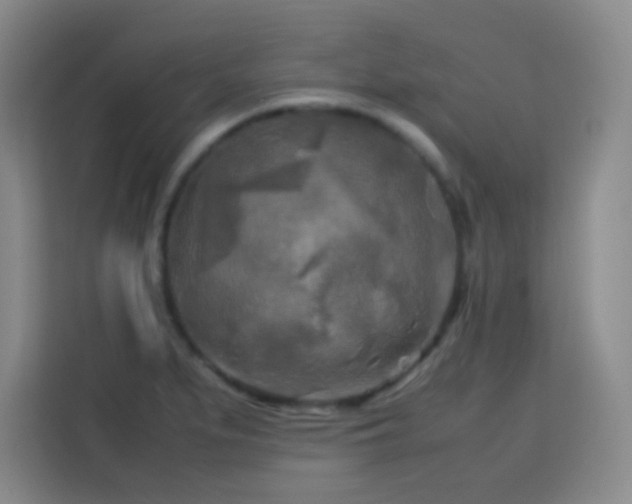 X0000113751279200909301024