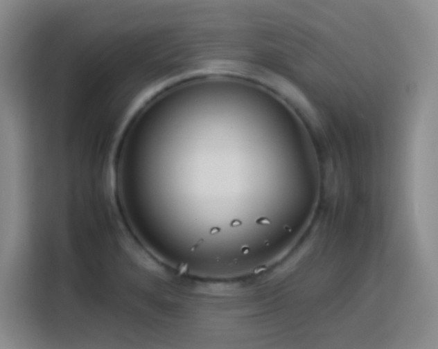 X0000113751280200909301024