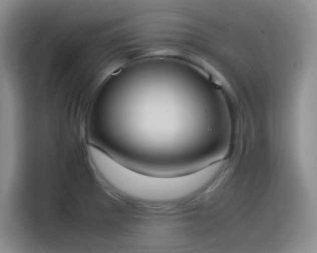 X0000113751281200909301024