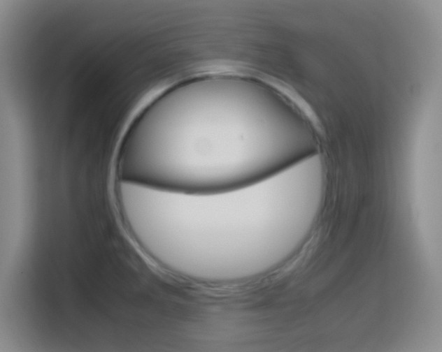 X0000113751285200909301024