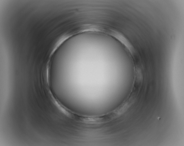 X0000113751290200909301024