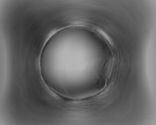 X0000113751291200909301024