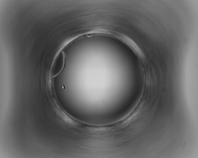 X0000113751292200909301024