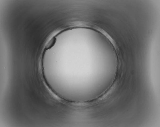 X0000113751293200909301024