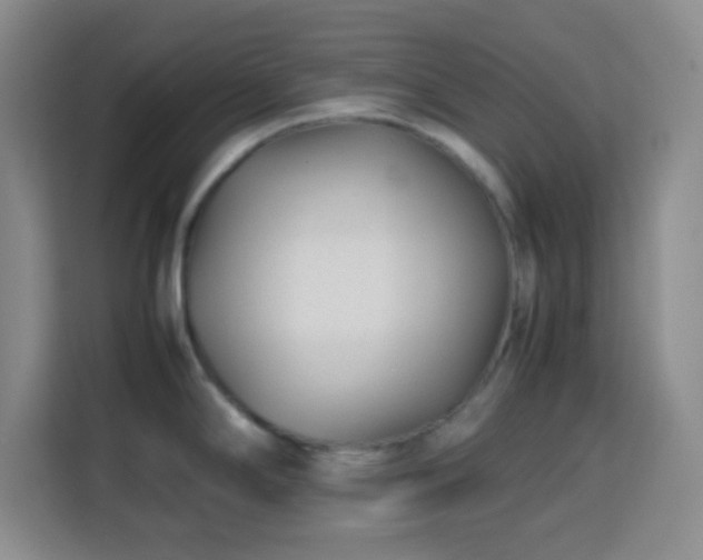 X0000113751294200909301024