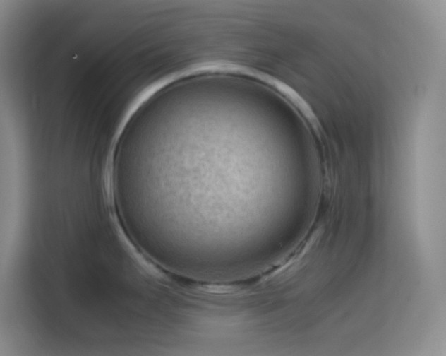 X0000113751295200909301024