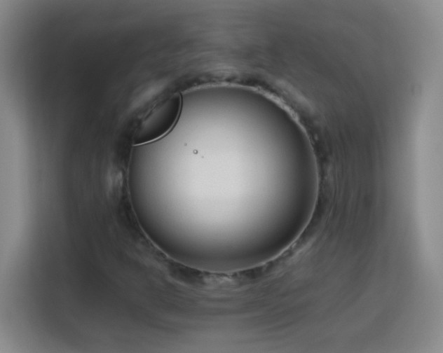 X0000113751302200909301023