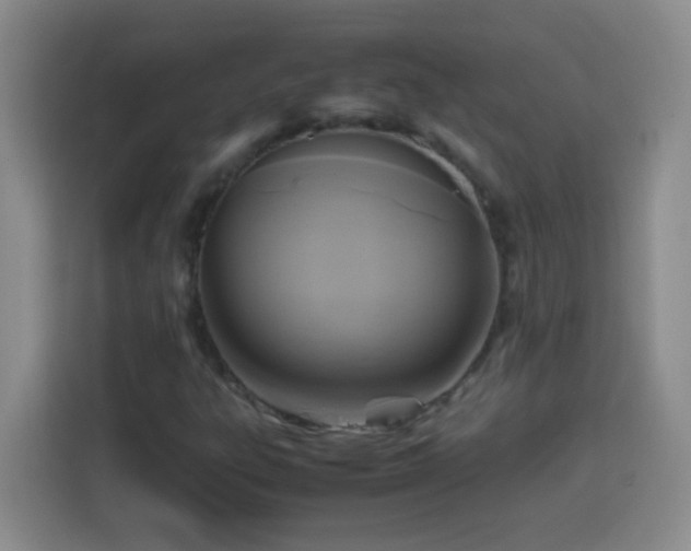 X0000113751303200909301023