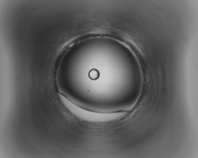 X0000113751304200909301023