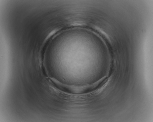 X0000113751306200909301023