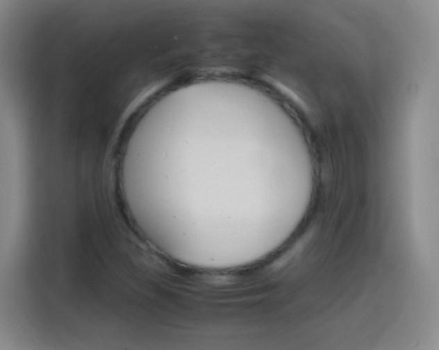 X0000113751309200909301023