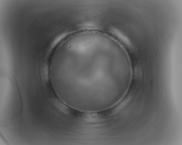 X0000113751310200909301023