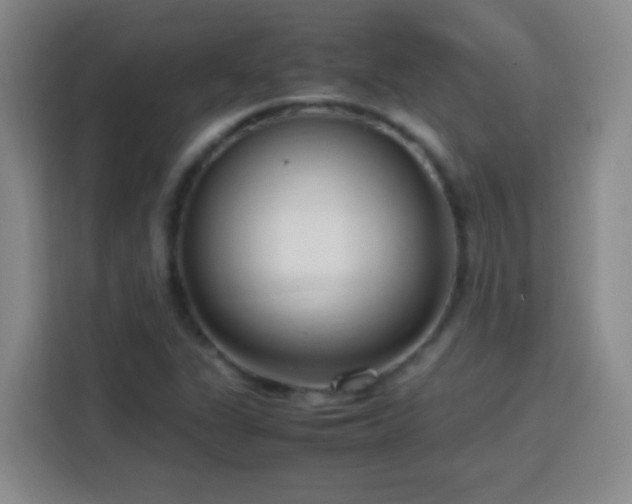 X0000113751311200909301023