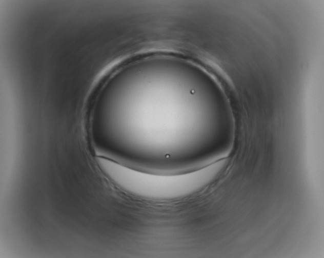 X0000113751312200909301023
