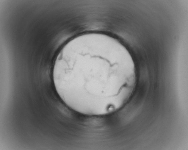 X0000113751314200909301023