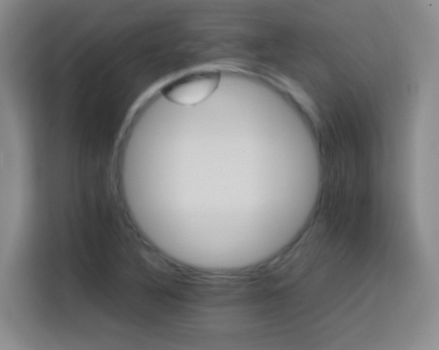 X0000113751316200909301023