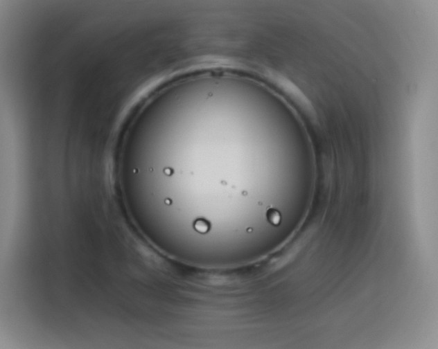X0000113751318200909301023