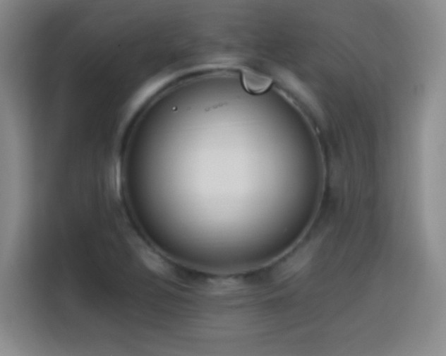X0000113751320200909301024