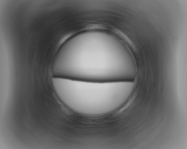 X0000113751321200909301024