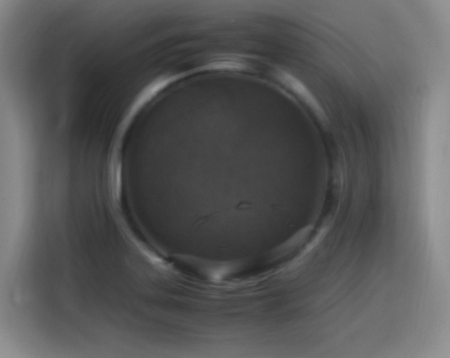 X0000113751323200909301024
