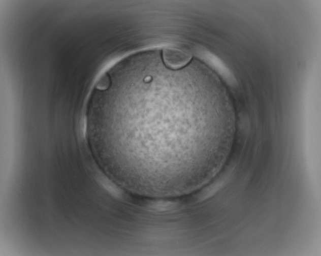 X0000113751324200909301024