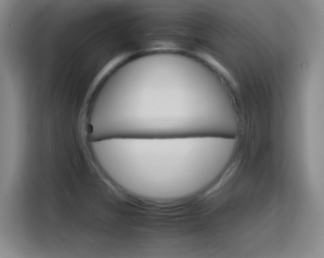 X0000113751325200909301024
