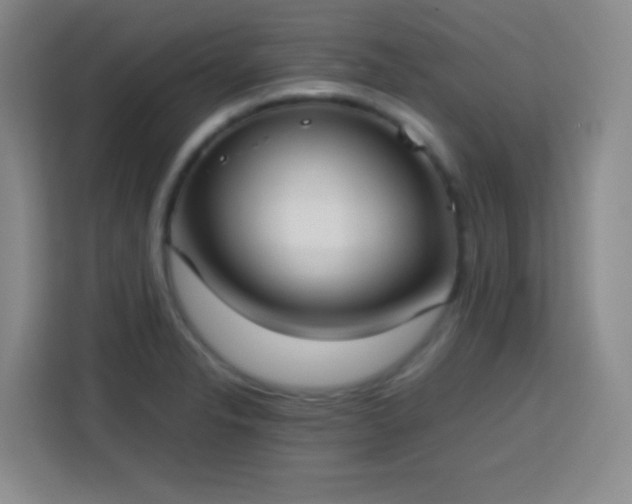 X0000113751326200909301024
