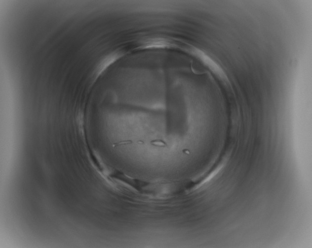 X0000113751329200909301024