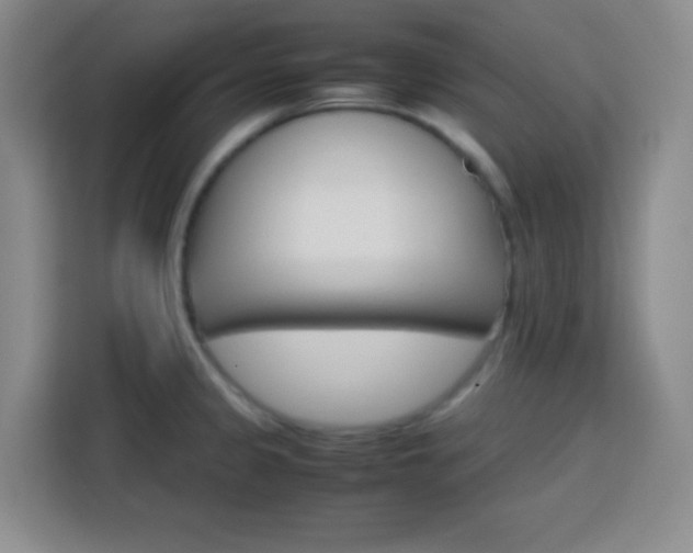 X0000113751333200909301024