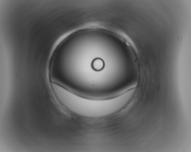 X0000113751336200909301024
