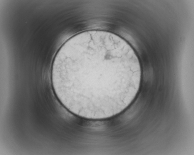 X0000113751338200909301024