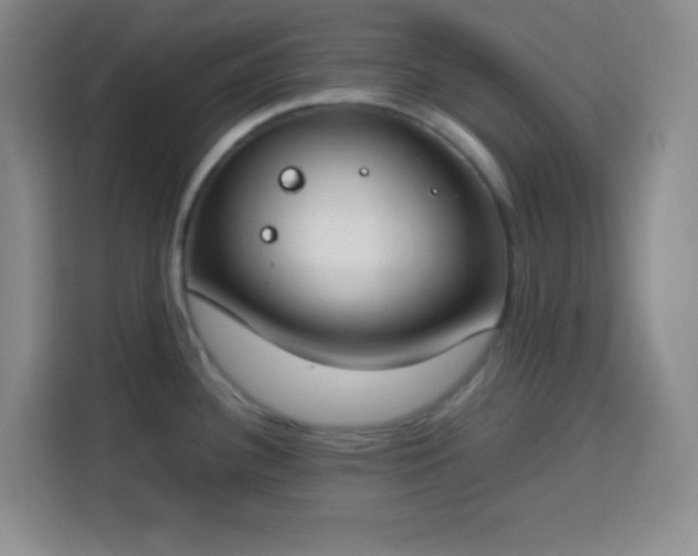 X0000113751340200909301024