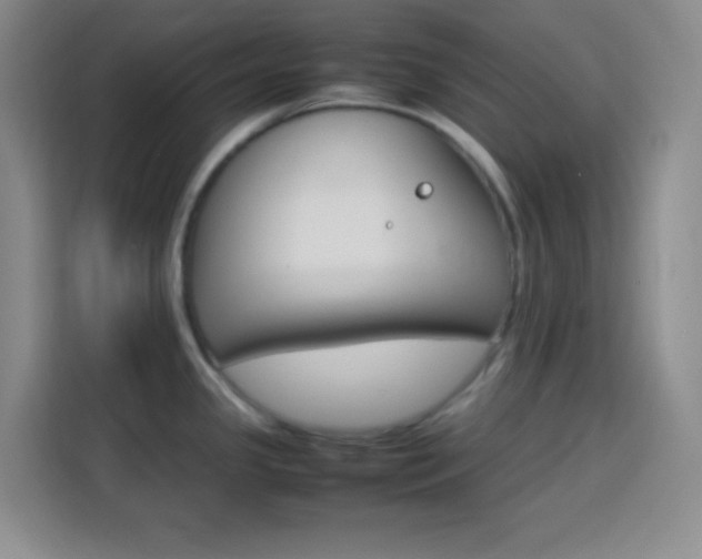 X0000113751341200909301024